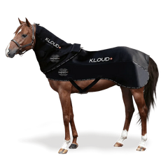 CENTROPIX KLOUD® COMPLETE SYSTEM & VET-SET