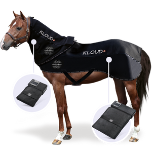 CENTROPIX KLOUD® COMPLETE SYSTEM & VET-SET